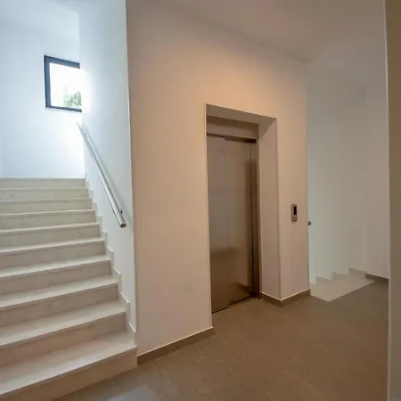 Pine 1 In The Center * Trebinje