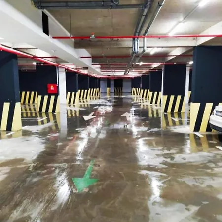 Pine 1 In The Center